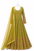 Green patterned dress with a matching dupatta on a white background