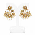 Gold and pearl earrings on a white stand
